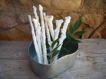 cannoli di manna pura